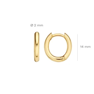 Online Oorringen Ovaal - 7217YGO Oorsieraden | Zonder Kleuren Of Stenen