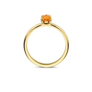 Fashion Ring 1242YCI Kleuren En Edelstenen | Ringen