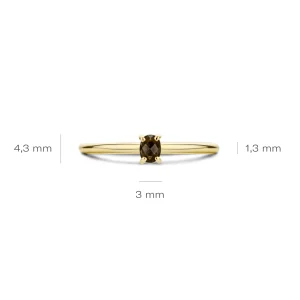 Outlet Ring 1204YSQ Kleuren En Edelstenen | Ringen